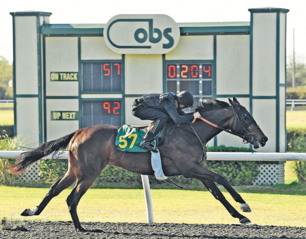 Ocala Breeders' Sales